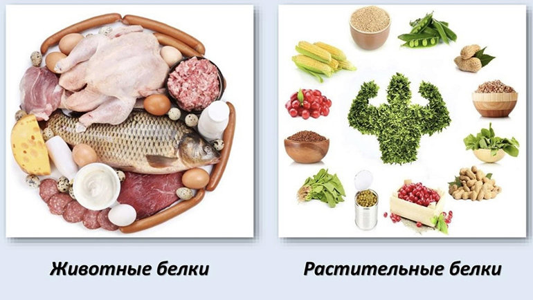 Картинки СОДЕРЖАНИЕ ВИТАМИНОВ В РАСТИТЕЛЬНЫХ ПРОДУКТАХ